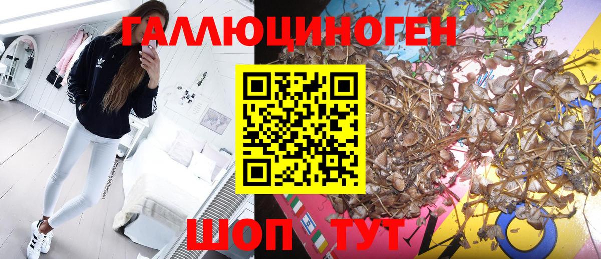 Псилоцибиновые грибы прущие грибы  Вход с VPN  Ступино  Галлюциногенные грибы GOLDEN TEACHER 