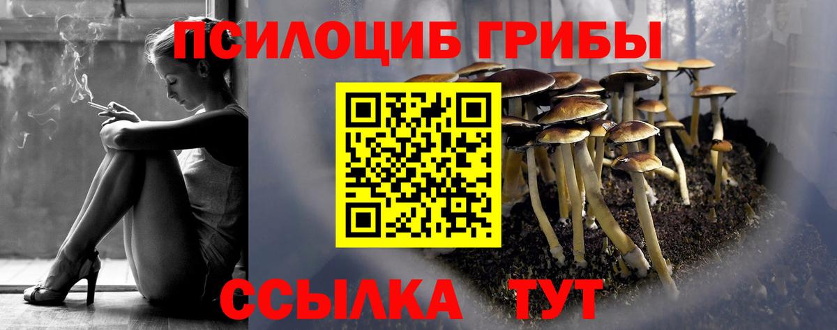 Галлюциногенные грибы мухоморы Ступино